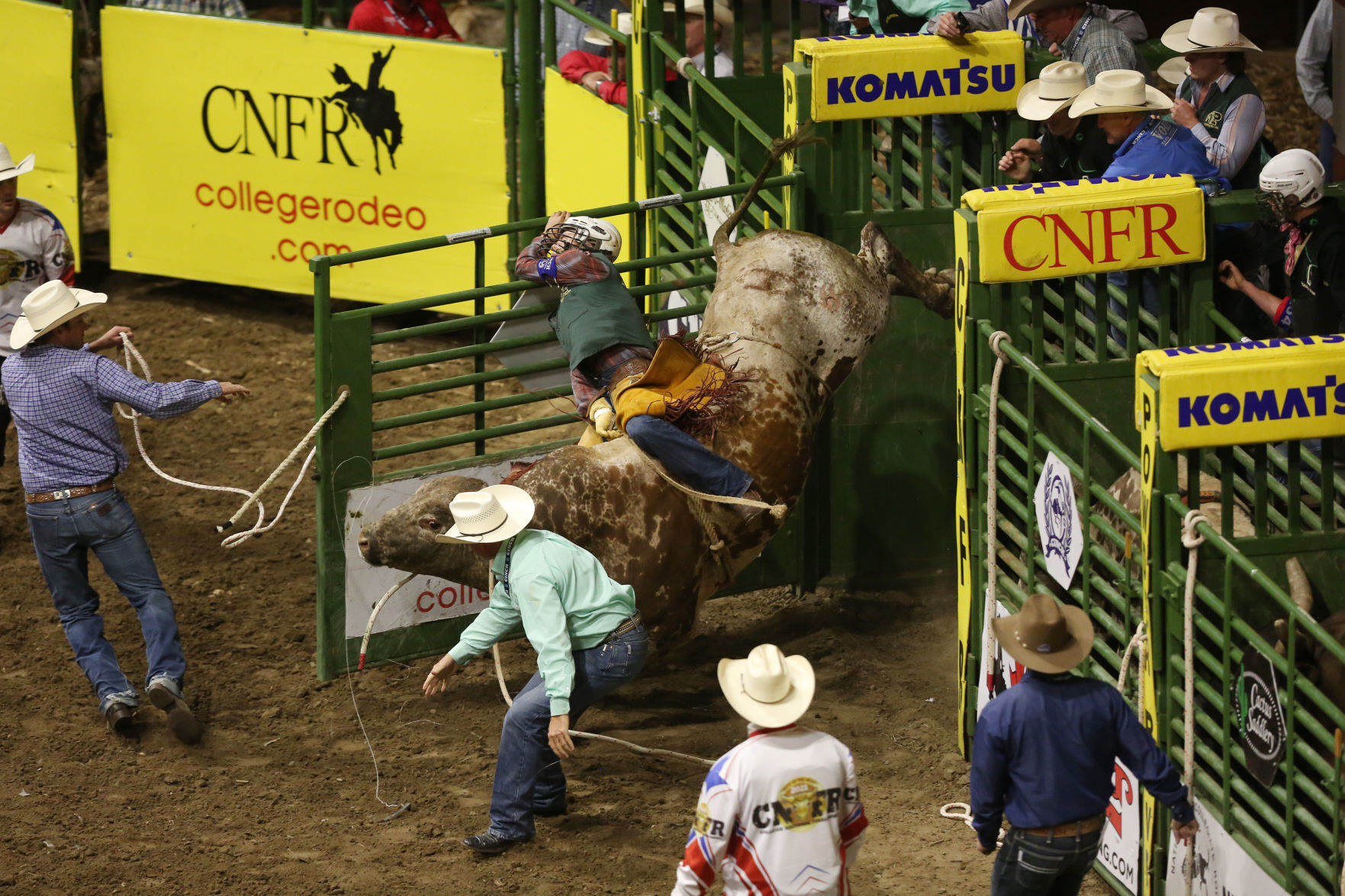 CNFR